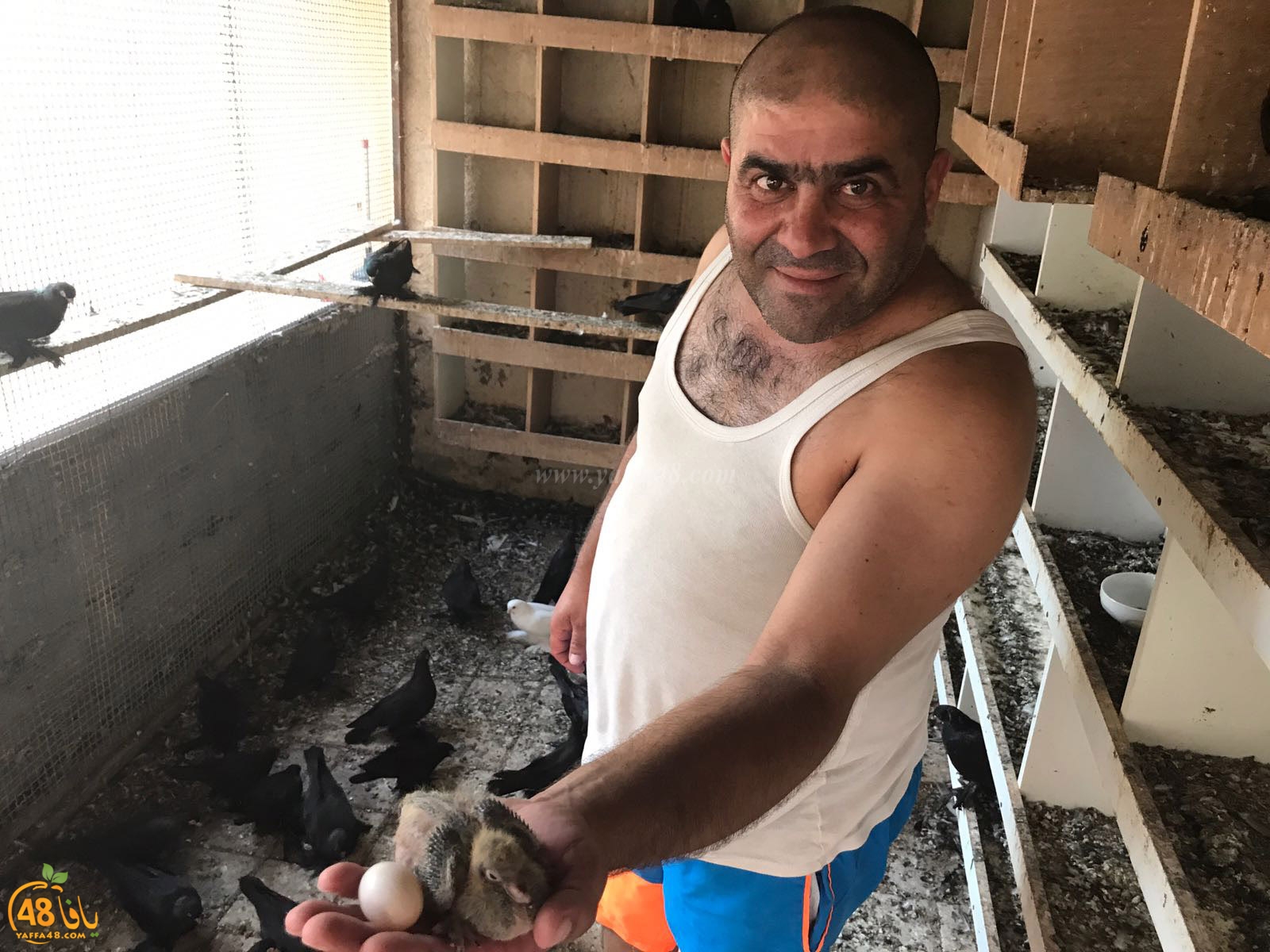 zohdi 3ashoor 7amam (26).jpg